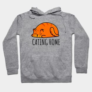 Cating home Hoodie